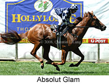 Absolut Glam (16727 bytes)