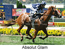 Absolut Glam (16727 bytes)