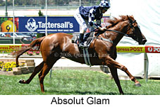 Absolut Glam (16727 bytes)