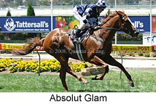 Absolut Glam (16727 bytes)