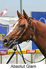 Absolut Glam (16727 bytes)