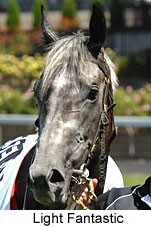 Light Fantastic (16727 bytes)