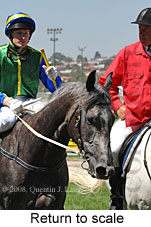 Return to scale (15472 bytes)