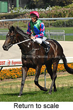 Return to scale (15472 bytes)