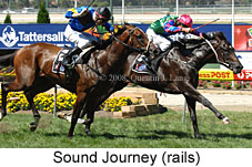 Sound Journey (16727 bytes)