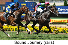 Sound Journey (16727 bytes)