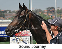 Sound Journey (16727 bytes)