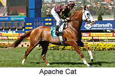 Apache Cat (16727 bytes)