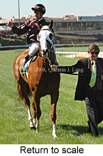 Return to scale (15472 bytes)