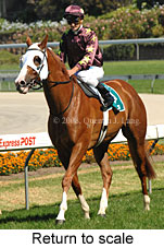 Return to scale (15472 bytes)