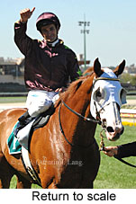 Return to scale (15472 bytes)