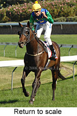 Return to scale (15472 bytes)