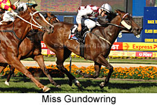Miss Gundowring (16727 bytes)