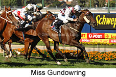 Miss Gundowring (16727 bytes)