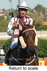 Return to scale (15472 bytes)