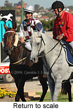 Return to scale (15472 bytes)