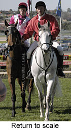 Return to scale (16768 bytes)