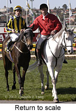 Return to scale (17821 bytes)