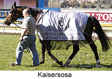 Kaisersosa (19139 bytes)