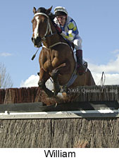 William (12961 bytes)