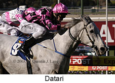 Datari (17313 bytes)