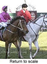 Return to scale (14161 bytes)