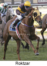 Roktzar (13808 bytes)