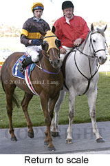 Return to scale (15269 bytes)