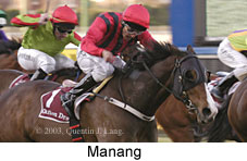 Manang (14136 bytes)