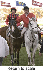 Return to scale (15269 bytes)