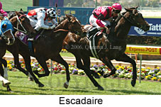 Escadaire (18294 bytes)