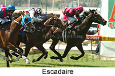 Escadaire (18294 bytes)