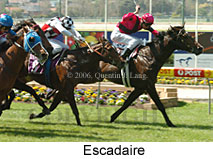 Escadaire (18294 bytes)