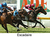 Escadaire (18294 bytes)