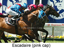 Escadaire (18294 bytes)