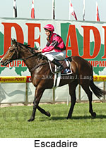 Escadaire (18294 bytes)