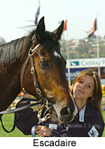 Escadaire (18294 bytes)