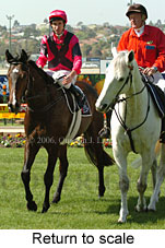 Return to scale (14117 bytes)