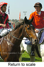 Return to scale (14117 bytes)