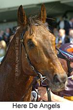 Here De Angels (18294 bytes)