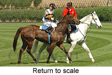 Return to scale (14117 bytes)