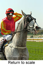 Return to scale (14117 bytes)