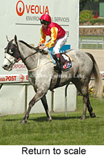 Return to scale (14117 bytes)