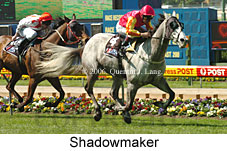 Shadowmaker (18294 bytes)