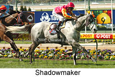 Shadowmaker (18294 bytes)