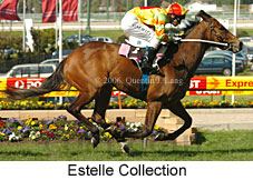 Estelle Collection (18294 bytes)