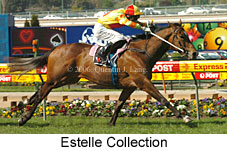 Estelle Collection (18294 bytes)
