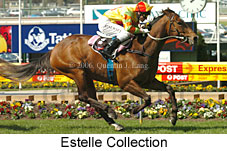 Estelle Collection (18294 bytes)