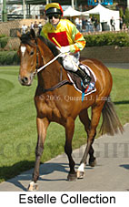 Estelle Collection (18294 bytes)