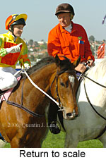 Return to scale (14117 bytes)